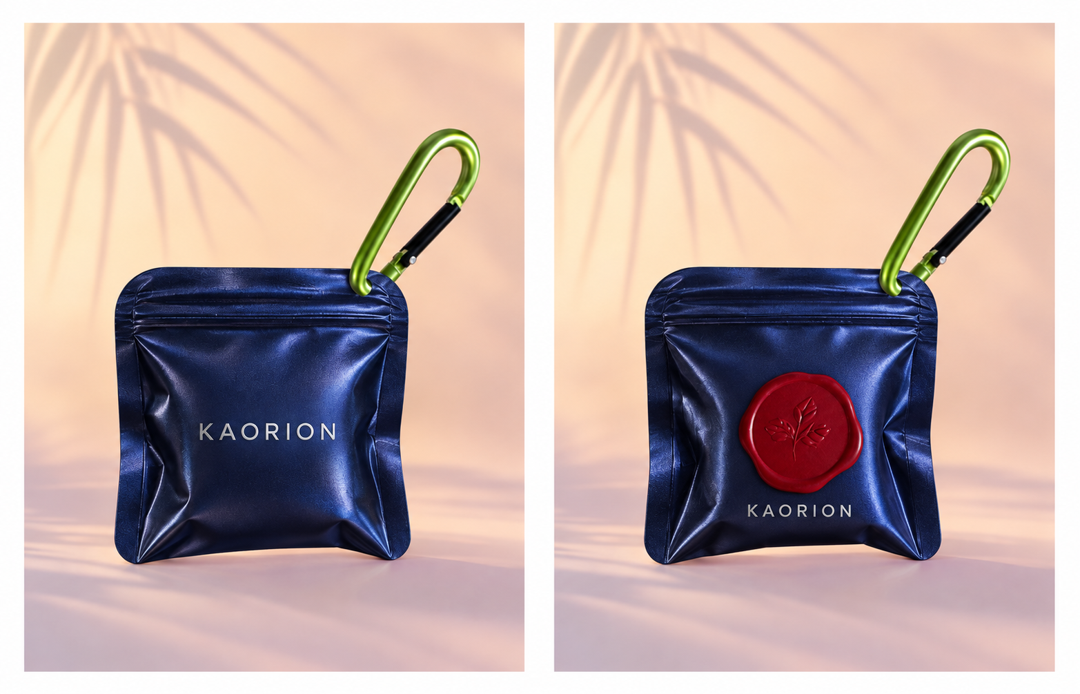 KAORION
